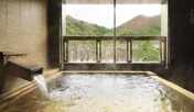 【露天風呂付客室・禁煙】天然温泉100％露天風呂付和洋室