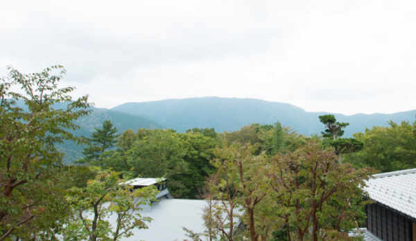 【203：藤袴（ふじばかま）】眺望