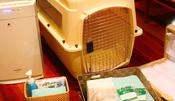   【お部屋備品】手ぶらでもお越しいただけるような、わんちゃんグッズが揃っております。