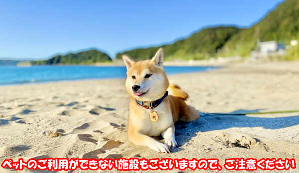 ペットのご利用ができない施設もございますので、ご注意ください