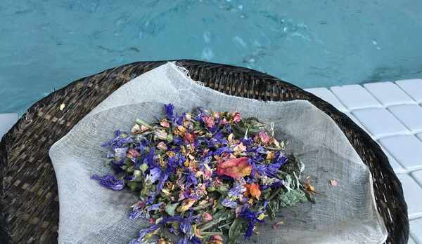 *植物療法（フィトテラピー）