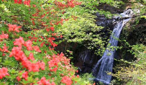 露天風呂眼下の朝日の滝（男湯）