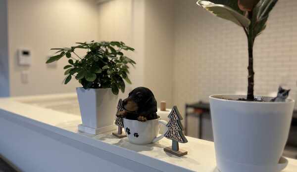 室内インテリア