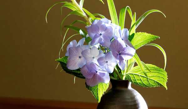 季節のお花