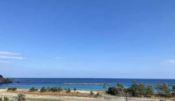 海側客室からの眺め 