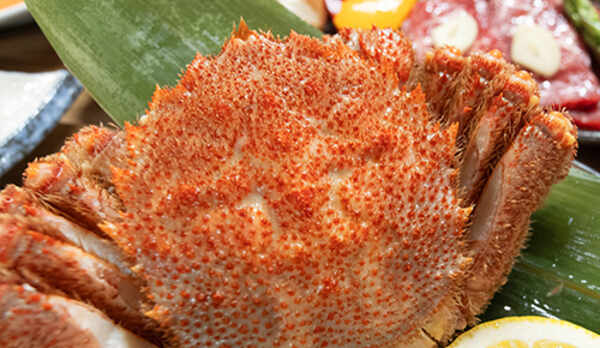 ■アラカルト料理■『ウトロ産茹で毛蟹』甘くてプリッとした身と濃厚なミソが絶品