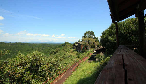 平屋バンガロー