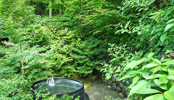 *【露天風呂】緑が美しい新緑の五右衛門露天風呂。森林浴気分でゆったりと癒されるひととき&hellip;。