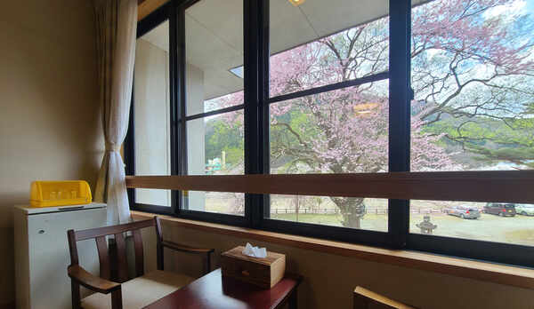 #部屋からの景観