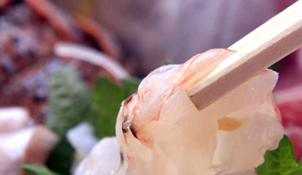 ★川端荘ではその日その時のとれたて鮮度が高い魚貝をご提供しております！