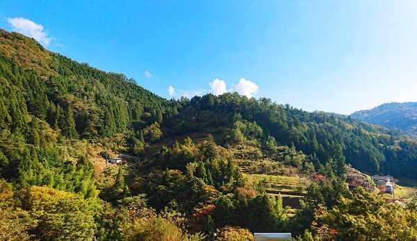 【客室からの風景】是非、みなさん都会の喧騒から離れてみませんか？