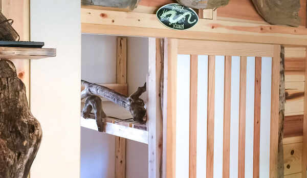 ・＜施設内＞お部屋の入り口も自然で溢れる魅力的な内装