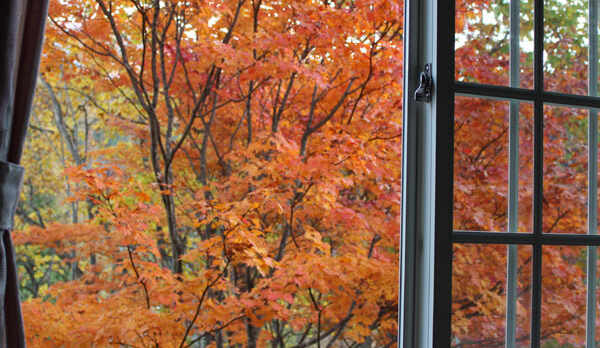紅葉の時期の客室窓