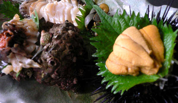 ≪あわび＆うに＆さざえ≫高級な食材もお手軽にお召し上がり頂けますよ♪♪何が出てくるかはお楽しみ♪ (