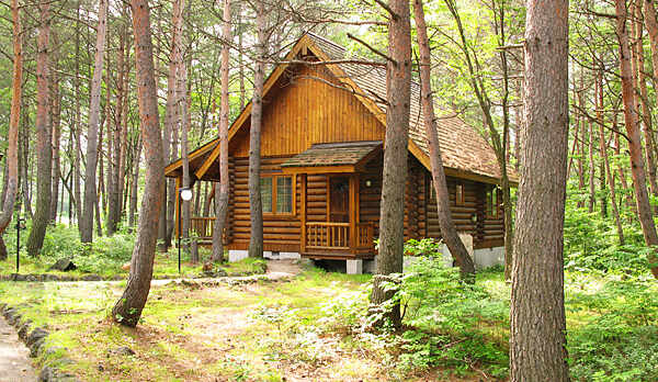 国立公園の自然に囲まれたプライベートコテージ（ログタイプ）外観７