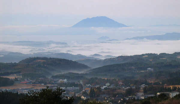 お部屋からの眺望