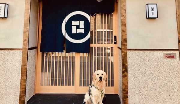 ドッグフレンドリー