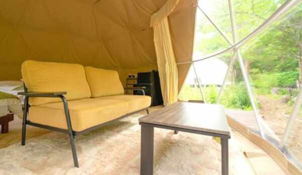 ［和モダンテイスト］＊黄色＊