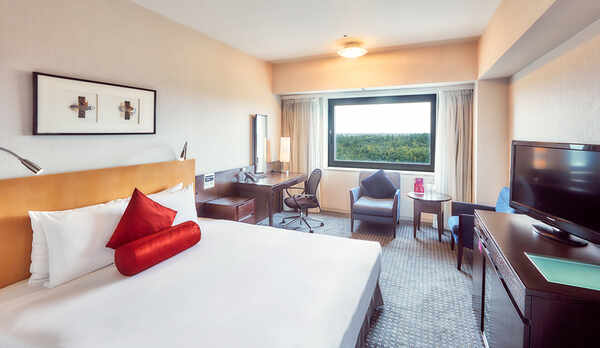  デラックスキング（29㎡）