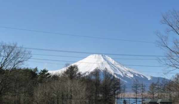 お部屋からの富士山