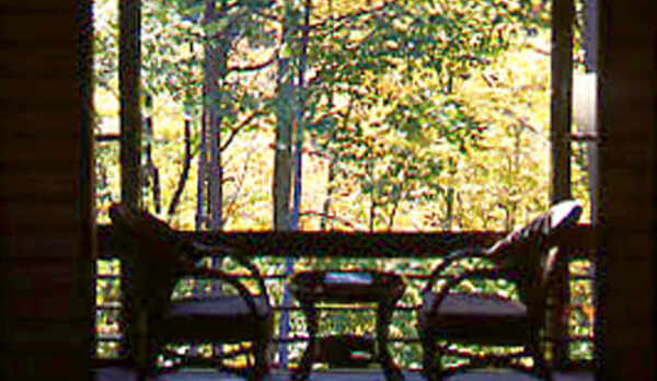 客室からの景色　秋