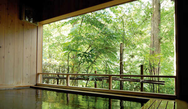 【山の湯　石湯内湯】これぞ温泉！化粧水のようなとろっとした湯触りの湯