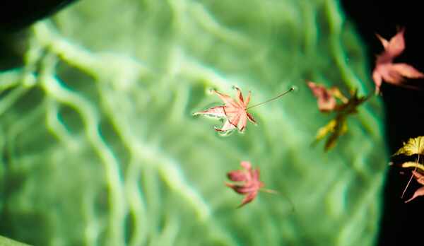 VillaRyusei イメージ