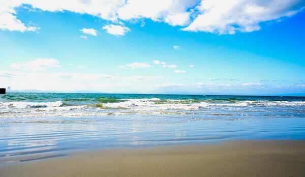 全室オーシャンビュー　　知多の海を一望