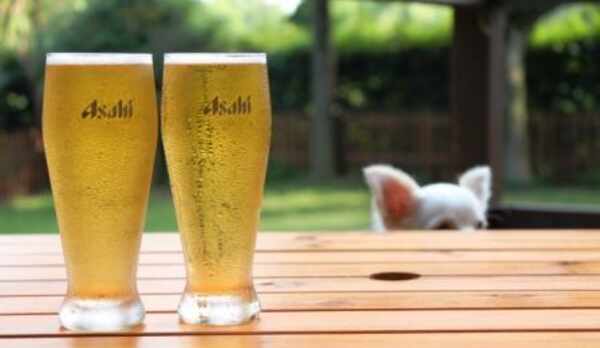 テラスで生ビールを飲みながらわんこがドッグランで楽しむ姿をご覧ください！