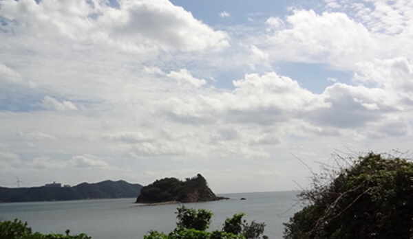 お部屋からの景色