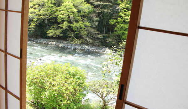 客室からの眺め