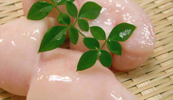 【ふぐの白子】独特の旨みや食感はたとえようがありません