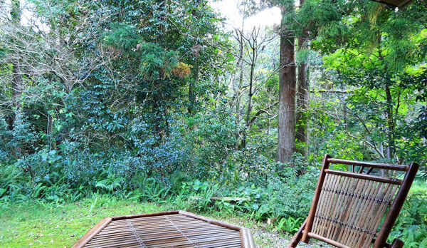 【コテージ仙庵】テラス