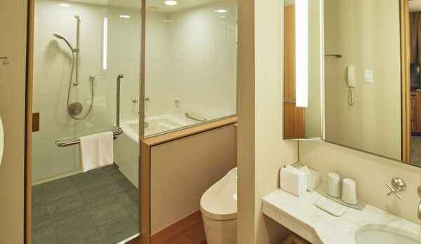 ・デラックスツイン/禁煙（43.7㎡）　バスルーム