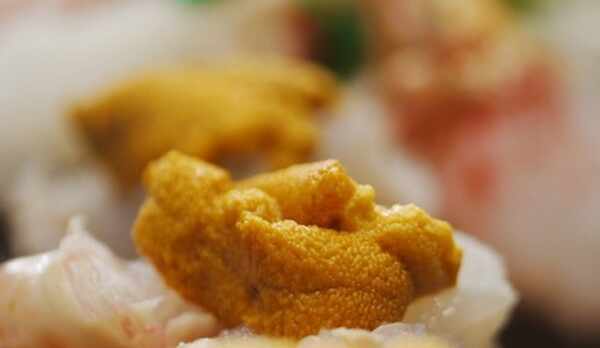 丹後の「冬ウニ」