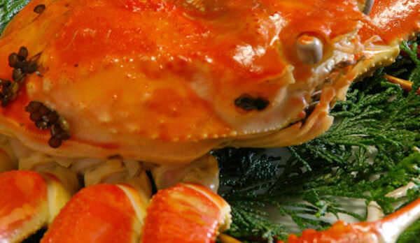 【香住蟹（イメージ）】この時期しか味わえない珍味をぜひご賞味下さいませ。