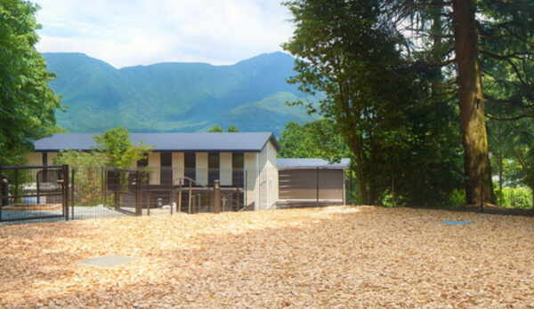 【屋外ドッグラン】箱根外輪山を望む敷地内ドッグラン！晴れた日はわんちゃんと一緒に駆け巡って