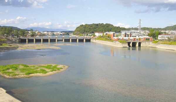 客室からの眺め