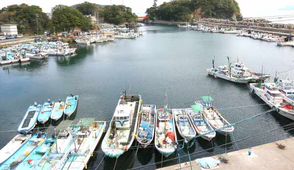 ・【当館からの景色】のどかな漁村風景が広がっています