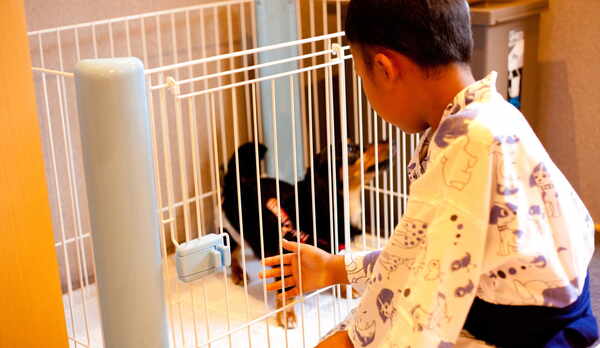 ペット・露天風呂付洋室「みなも」・「ことね」（リビング＋ベッドルーム）