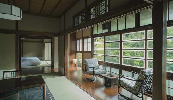 青藤001