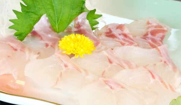 私たちが大切に育てた真羽太のお造り