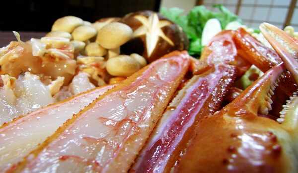 カニスキ１１・