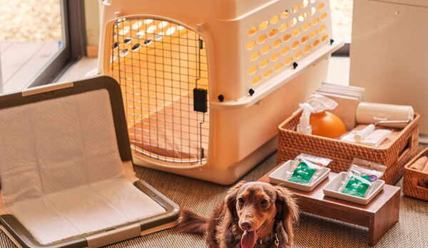 【愛犬用アメニティ】手ぶらで来れるほどの充実度