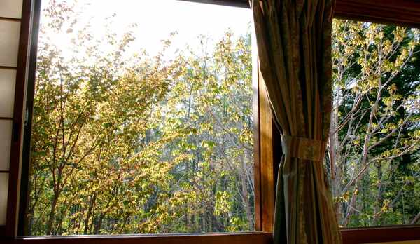 窓からの景色。