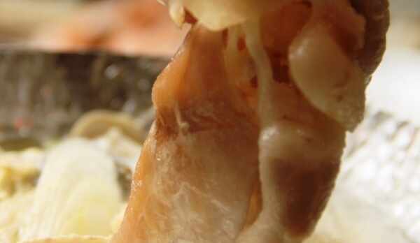 夕食_メイン鍋料理