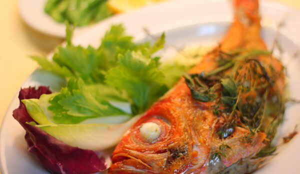 夕食　お魚料理の一例