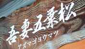 吾妻五葉松
