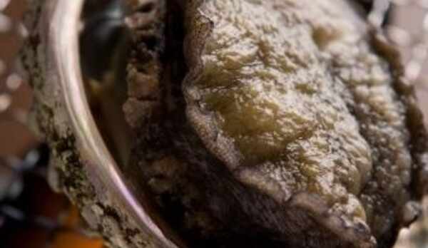 あわびの踊り焼き