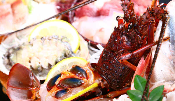 *伊勢海老お造り◆プリップリ食感がたまらない♪